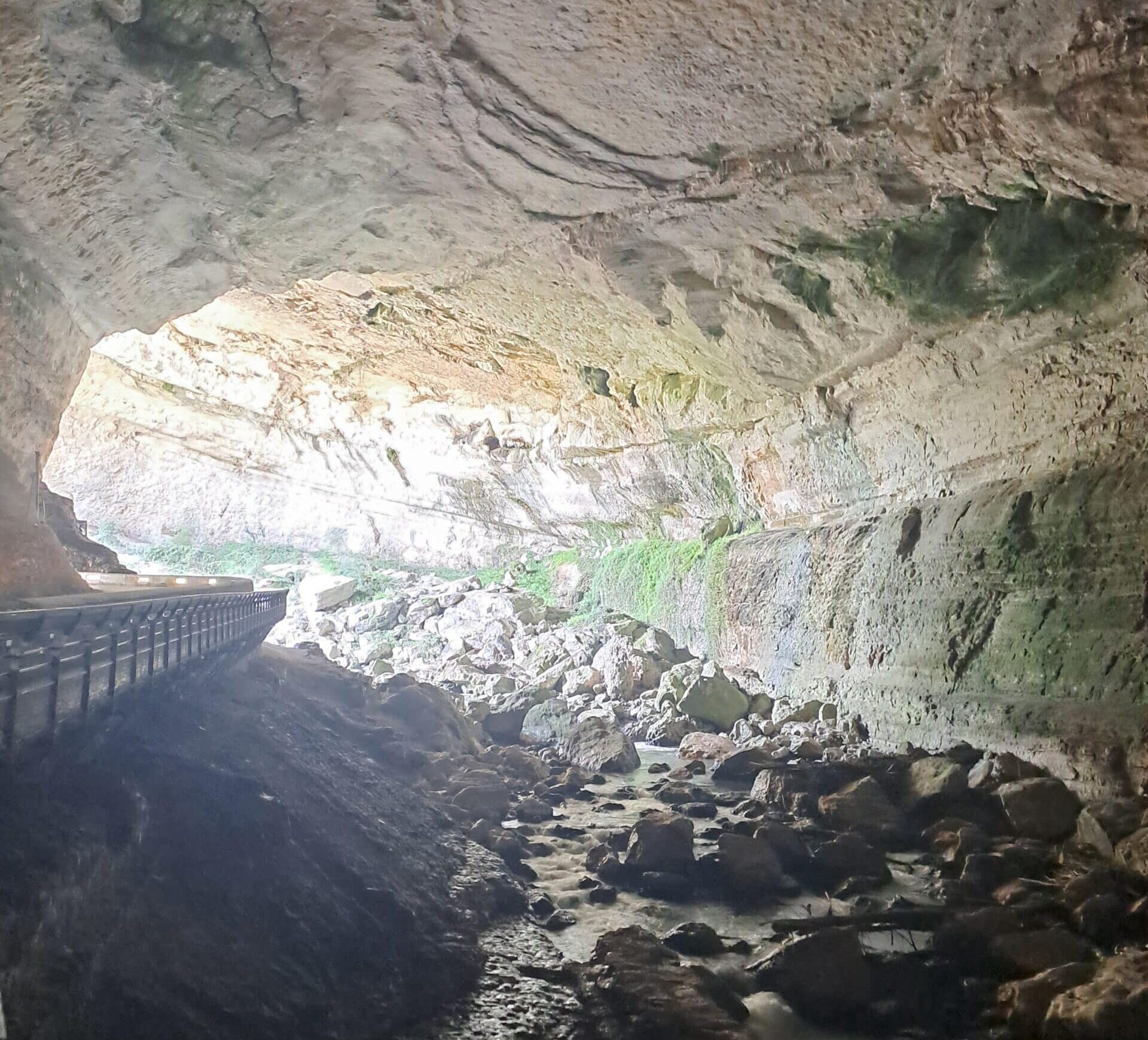 Cité de Carcassonne